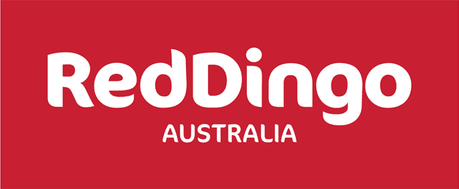 Red Dingo