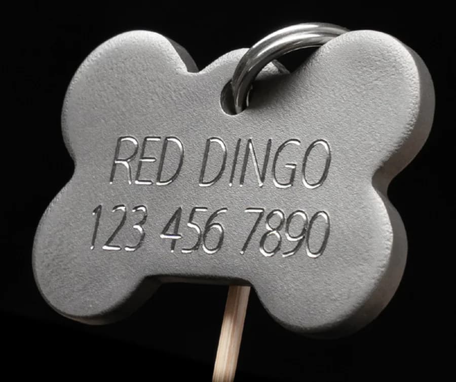 A stainless-steel bone-shaped pet ID tag with a name and phone number deeply engraved into the metal