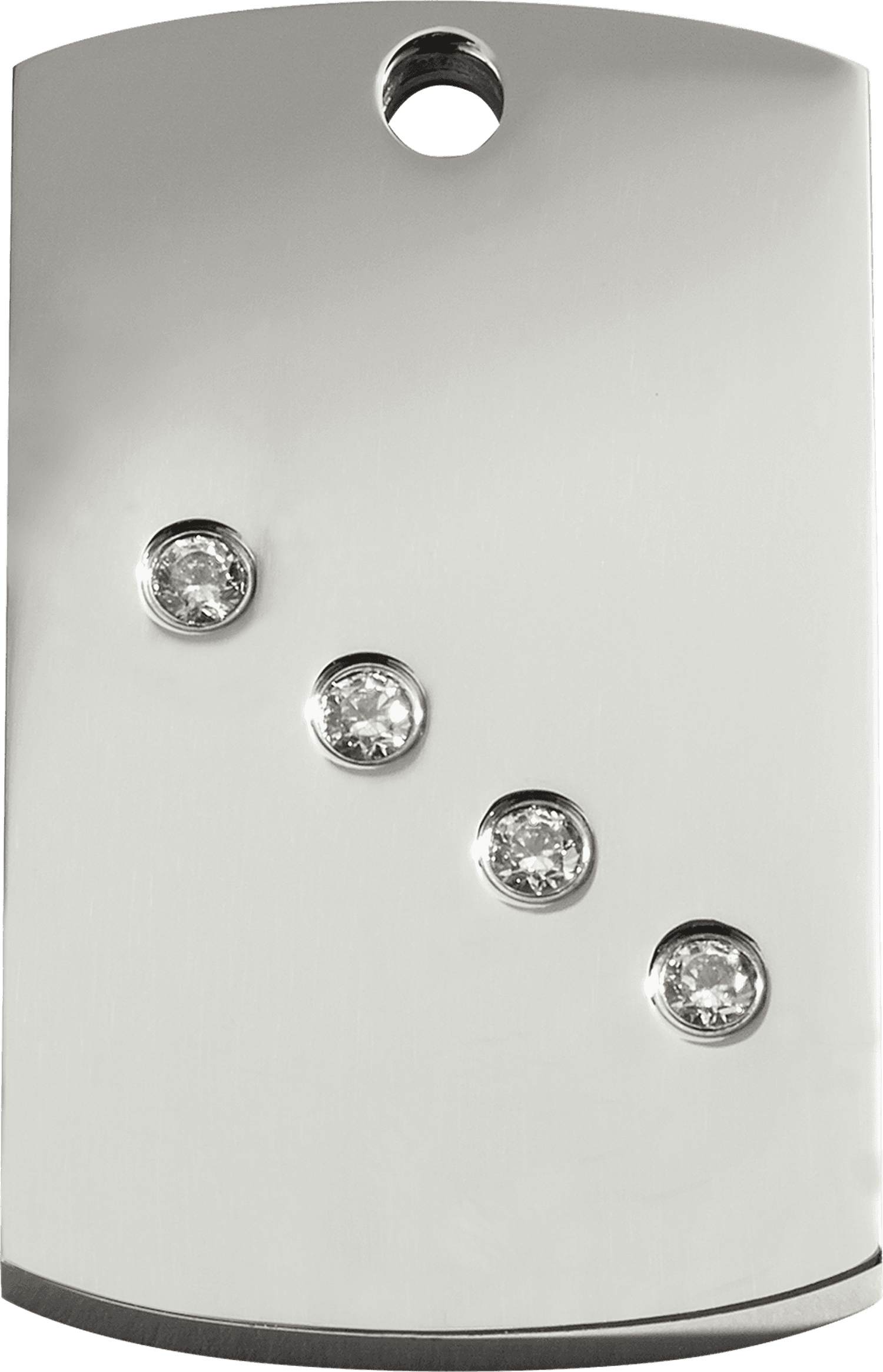Red Dingo Swarovski crystal rectangular pet ID tag set with a line of crystals