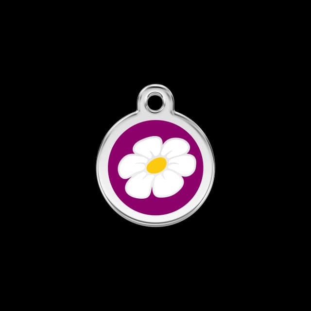 Daisy pet ID tag