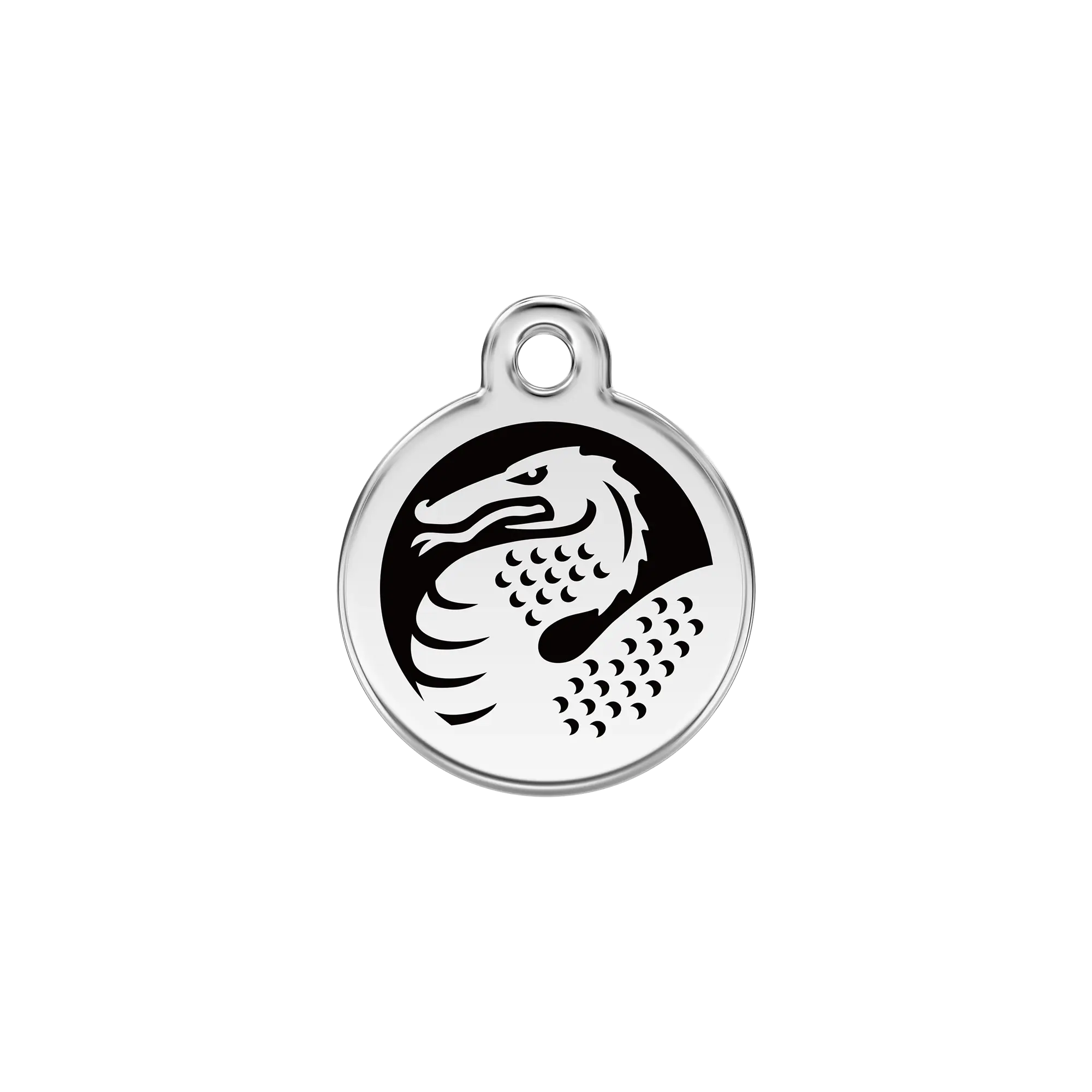 Dragon pet ID tag
