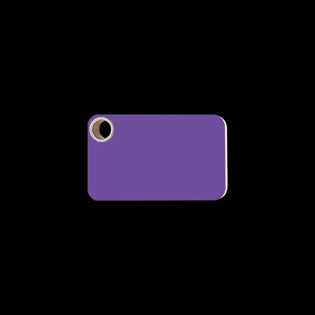 Rectangle pet ID tag