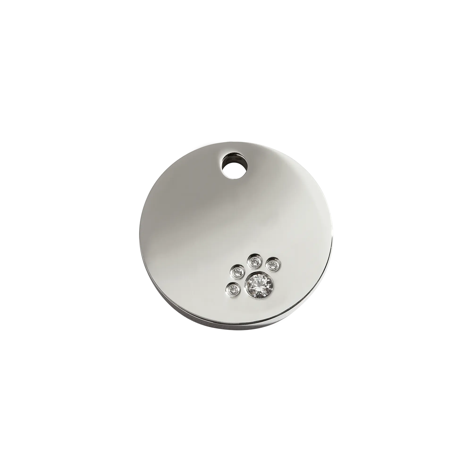 Circle pet ID tag
