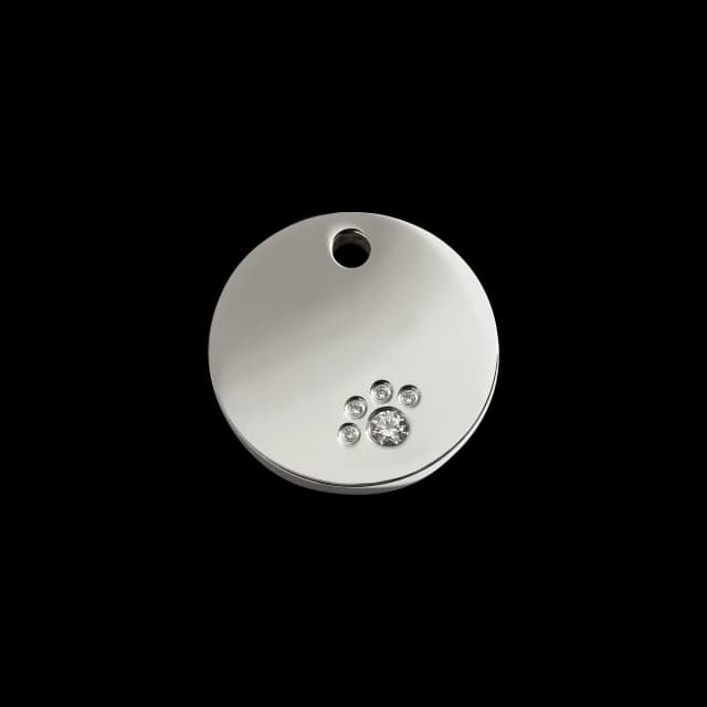 Circle pet ID tag