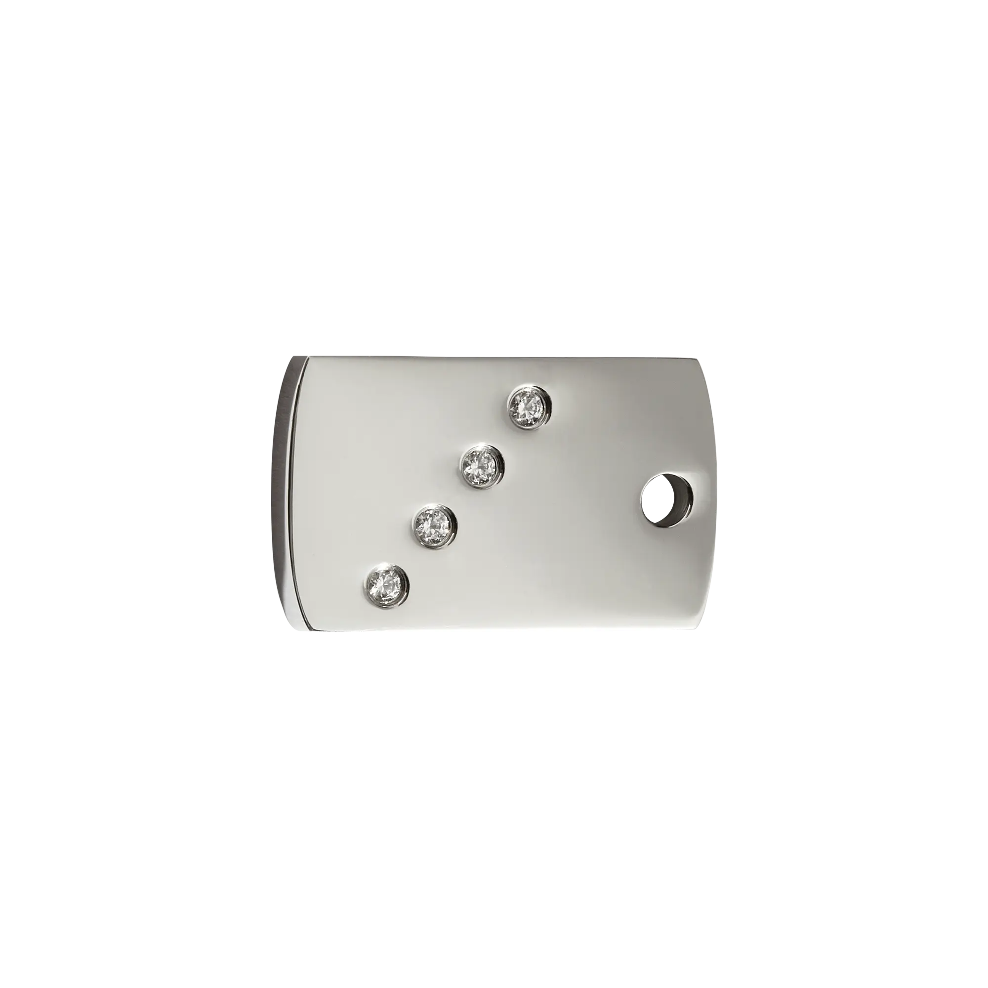 Rectangle pet ID tag