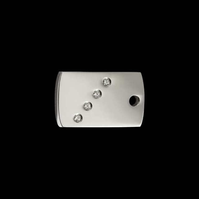 Rectangle pet ID tag